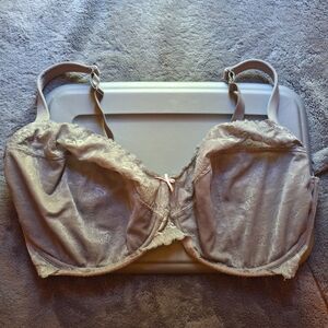 Cacique Layne Bryant Bra